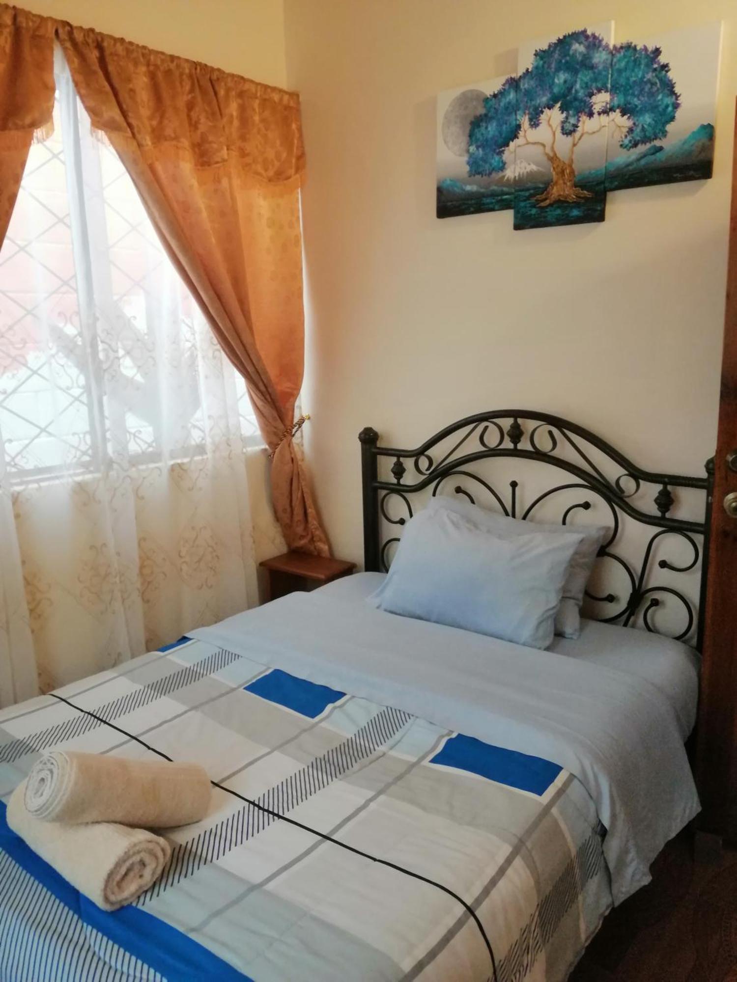 Home Capybara Stay Mindo Zewnętrze zdjęcie